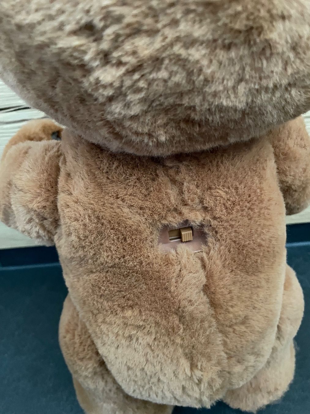 FurReal Giocattoli: FurReal Cubby Bär – Usato da Homburg venduto da Vlinder3 4