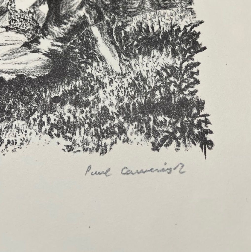 Grafica & Litografie: Paul Camenisch, handsigniert, nummeriert – Usato da Rain venduto da Pic-Ass 2