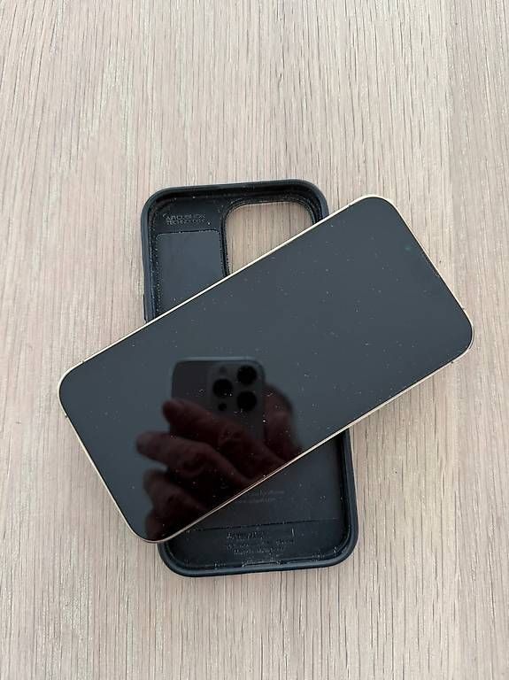 Apple Telefoni cellulari / Smartphones: iPhone 13 pro, 256 GB – Usato da Küssnacht am Rigi venduto da Jutzi