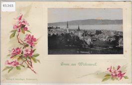 Gruss aus Wädenswil
