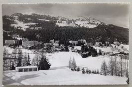 Crans s/Sierre alt. 1500 m