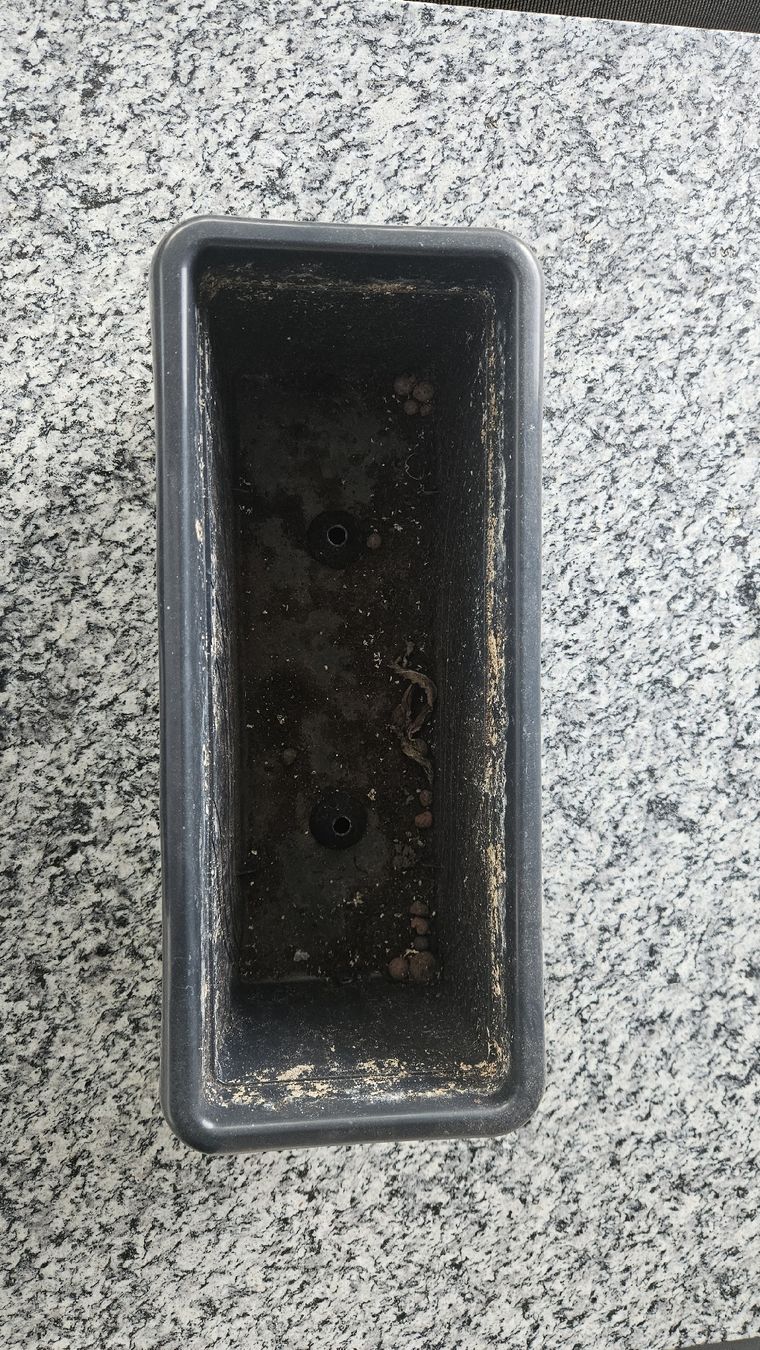 Blumentöpfe: Schwarzer Blumenkasten gebraucht – Gebraucht aus Uster von fa8_59rw 1