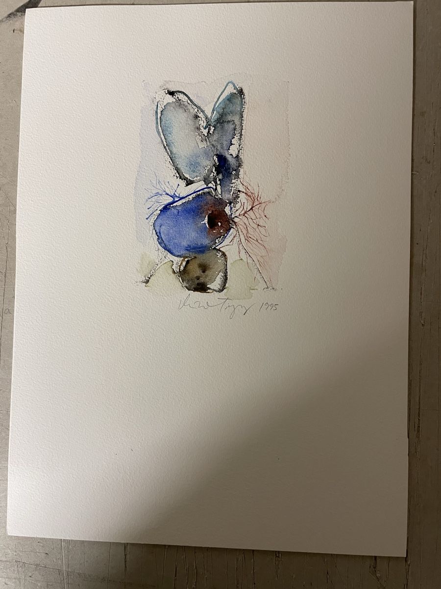 Foto & Immagini: 3 Aquarelle, signiert, 1995 – Usato da Hindelbank venduto da chinok01