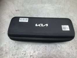 V2L Connector, Kia EV Adapter Lade
