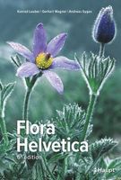 Buch Flora Helvetica (neu, günstig)