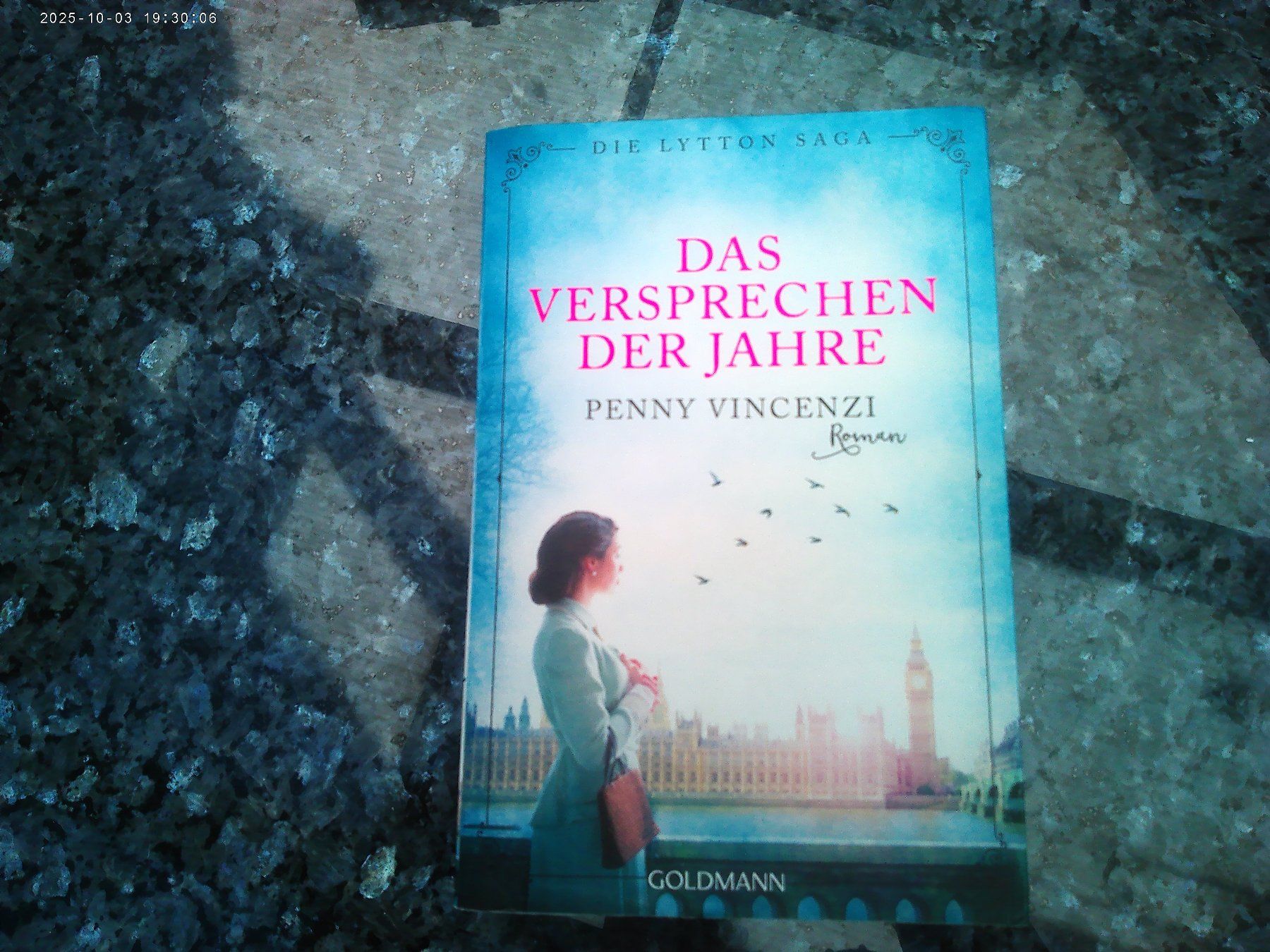Libri: Das Versprechen der Jahre - Die Lytton Saga – Usato da reitnau venduto da Sib7