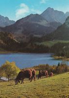AK Schwarzsee - gel. 8.8.1977