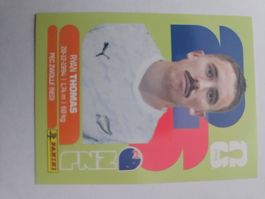 NZL 12