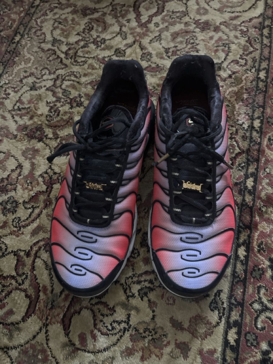 Nike Chaussures hommes: Nike Tns – Neuf (Voir description) à Dübendorf par ame_g69g