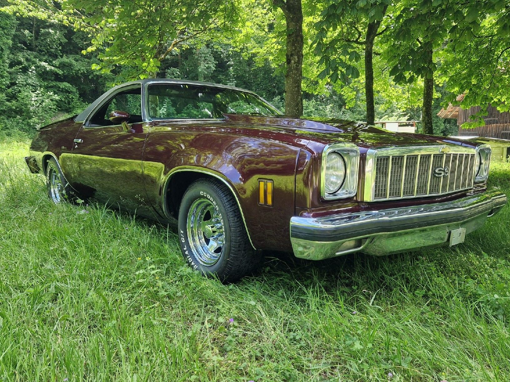 Chevrolet Automobili: Chevrolet El Camino SS – Usato da würenlos venduto da Flap1 8