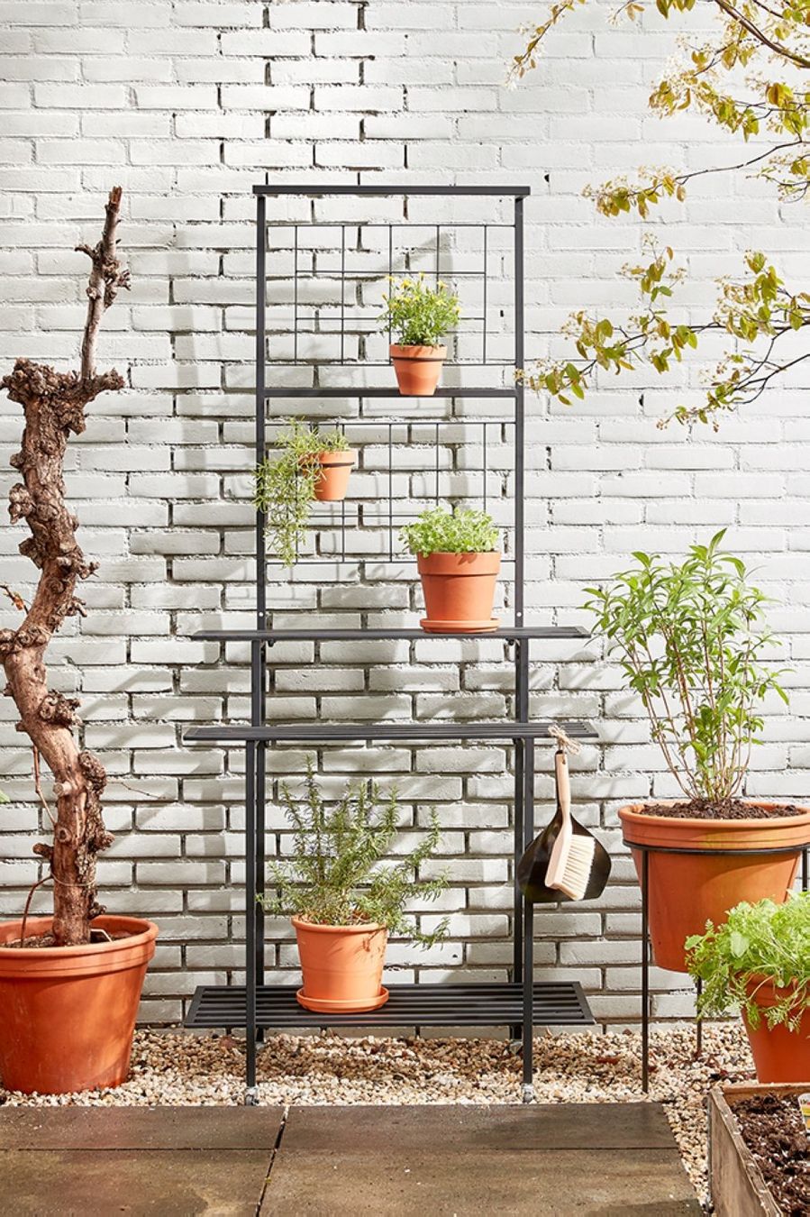 Regale: Deko-/Blumengestell mit Rollen 90 x 190 cm – Neu (gemäss Beschreibung) aus Ebmatingen von Puma_1 1
