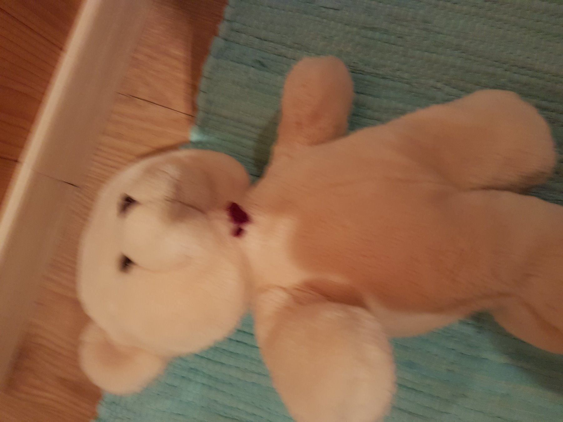 Spielzeuge: Bär Teddy – Gebraucht aus Wildhaus von enzian66 1