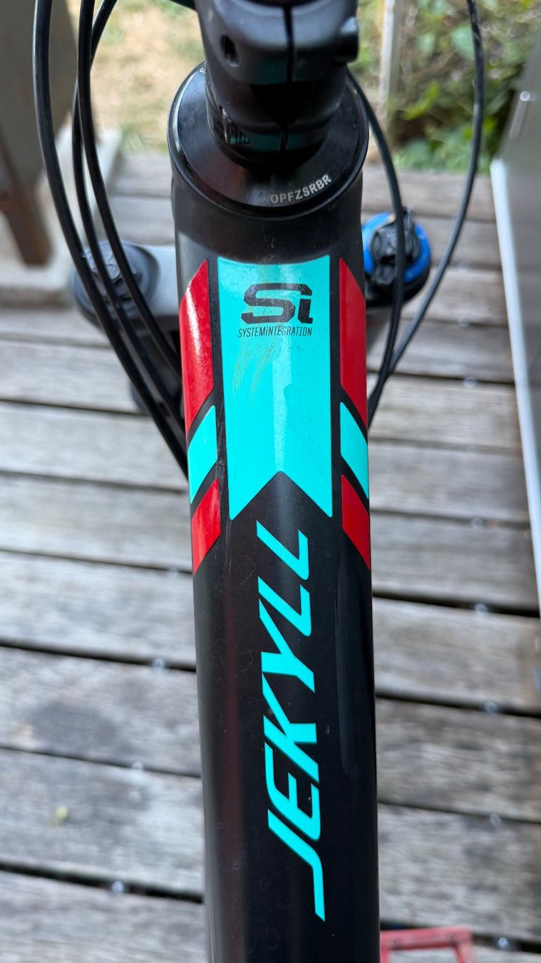 Cannondale Biciclette: Downhilbike Cannondale Jekyll – Usato da Olten venduto da Diogenes1 6