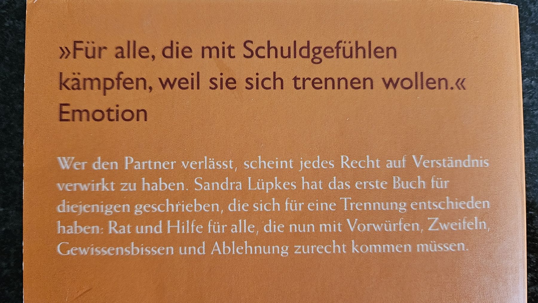 Livres: Sandra Lüpkes Ich verlasse dich – D'occasion à Hildisrieden par Schteigeiss 1