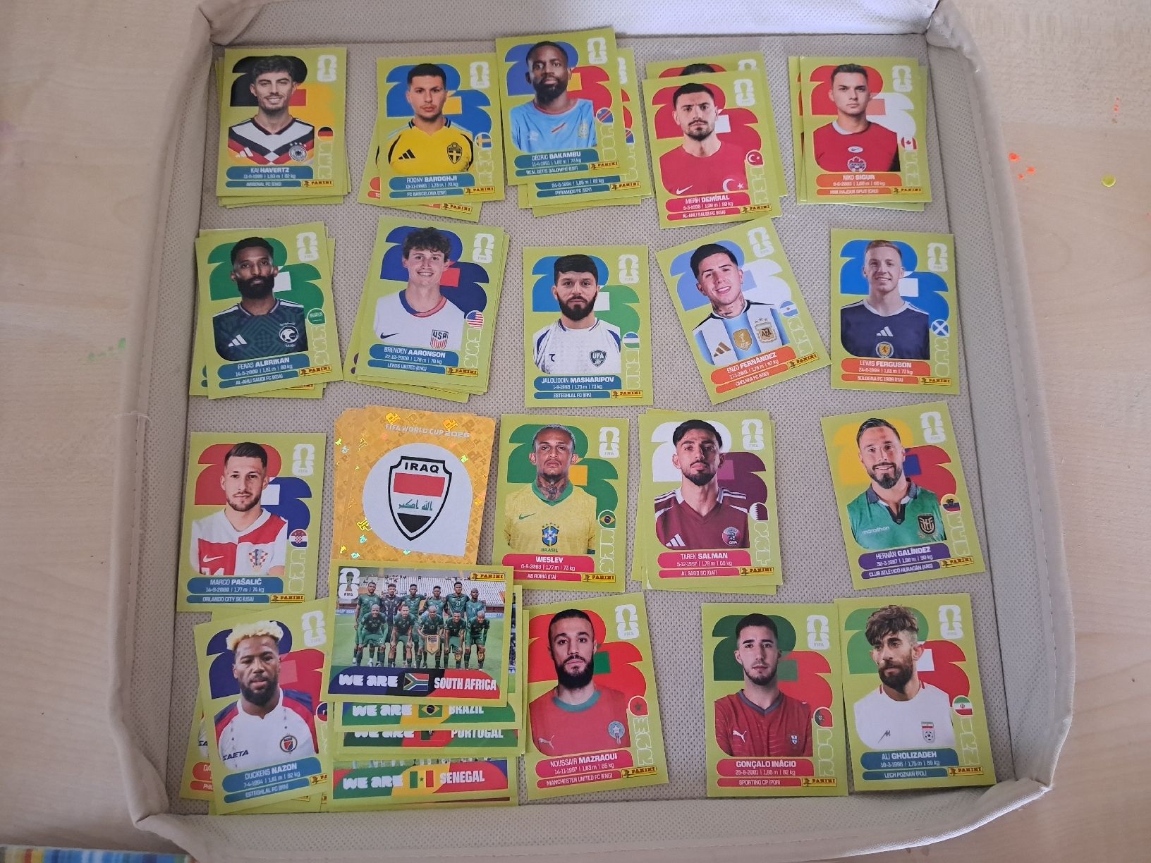 Panini Sammelbilder & Trading cards: Panini Bilder 2026  – Neu (gemäss Beschreibung) aus Muhen von Franziska.V