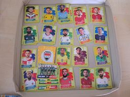 Panini Bilder 2026 
