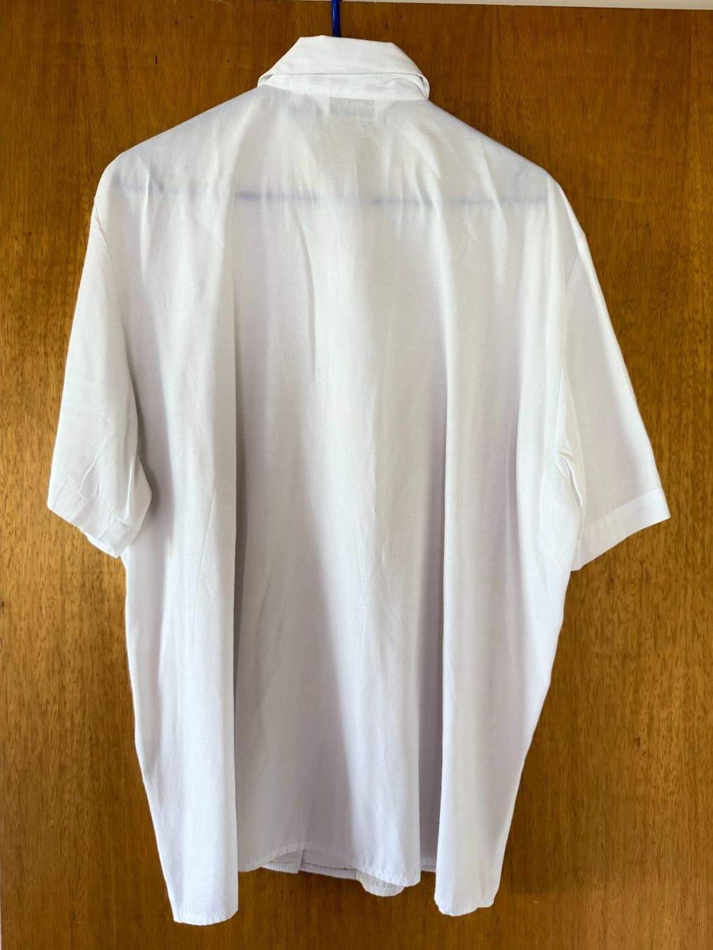Blusen: Schild Damenbluse Gr. 42, weiss – Neu (gemäss Beschreibung) aus Brunnenthal von Eco07 1