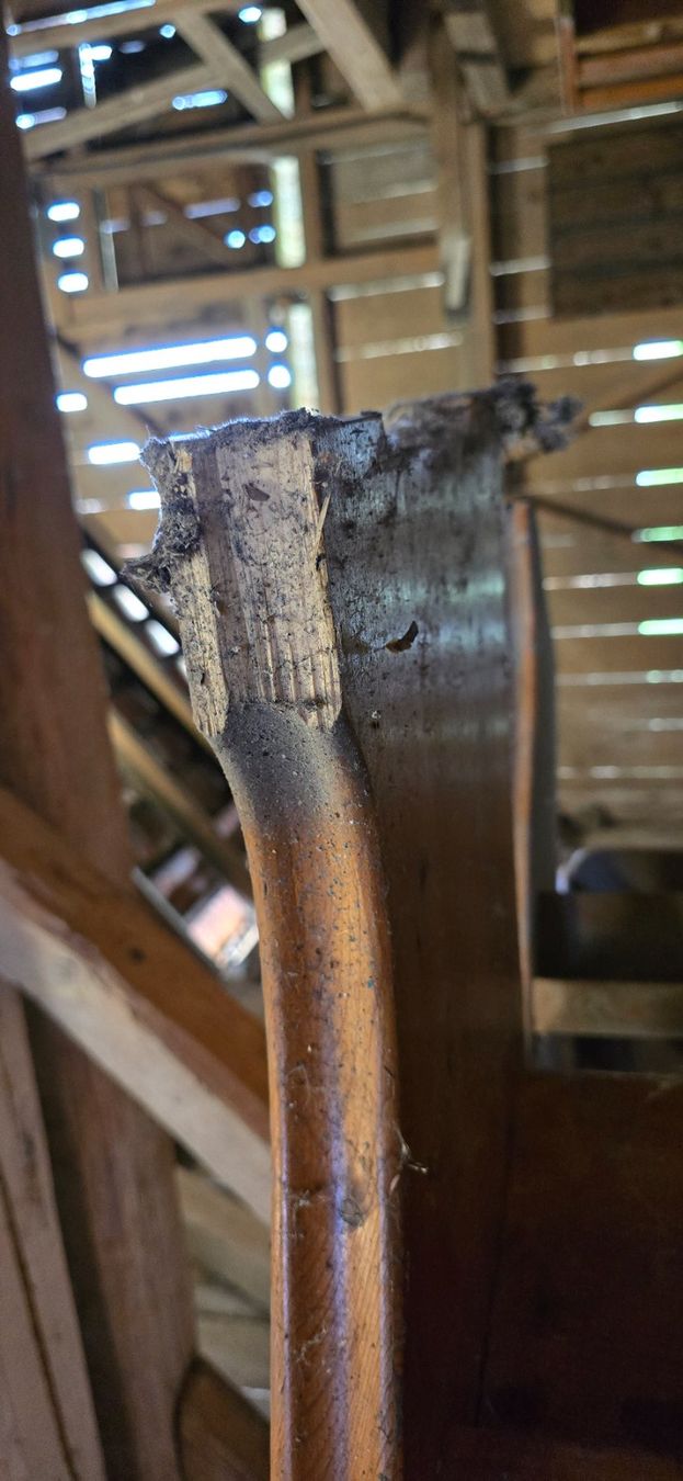 Panchine: Kirchenbänke vom ehm. Kloster Kapoel – Usato da Affoltern am Albis venduto da g.baumann66 6