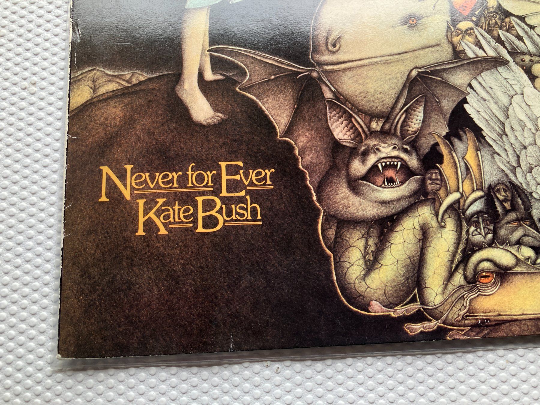 Dischi in vinile: Kate Bush – Usato da Aarwangen venduto da Jukebox3 1