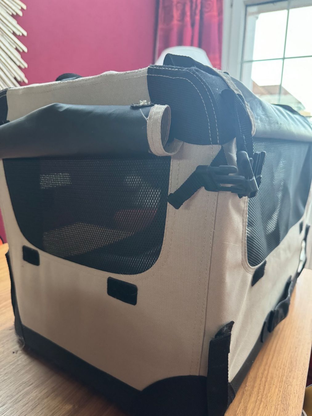 Gabbie, trasporto & Sicurezza: Hunde Transport Box – Usato da Zumikon venduto da Celine_1001 3