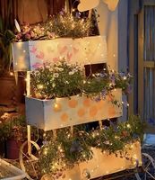 Weihnachts, USB Zauber Lichter