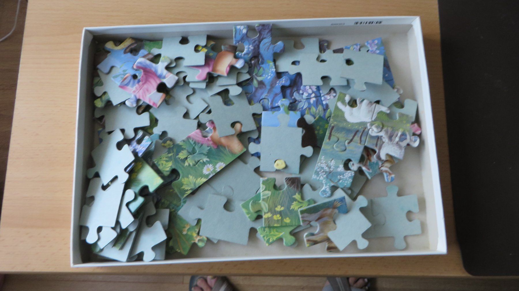 Ravensburger Puzzle: Puzzle Ravensburger Super 100 Landschaft 8+ – Usato da Bremgarten b. Bern venduto da Poirette52 1