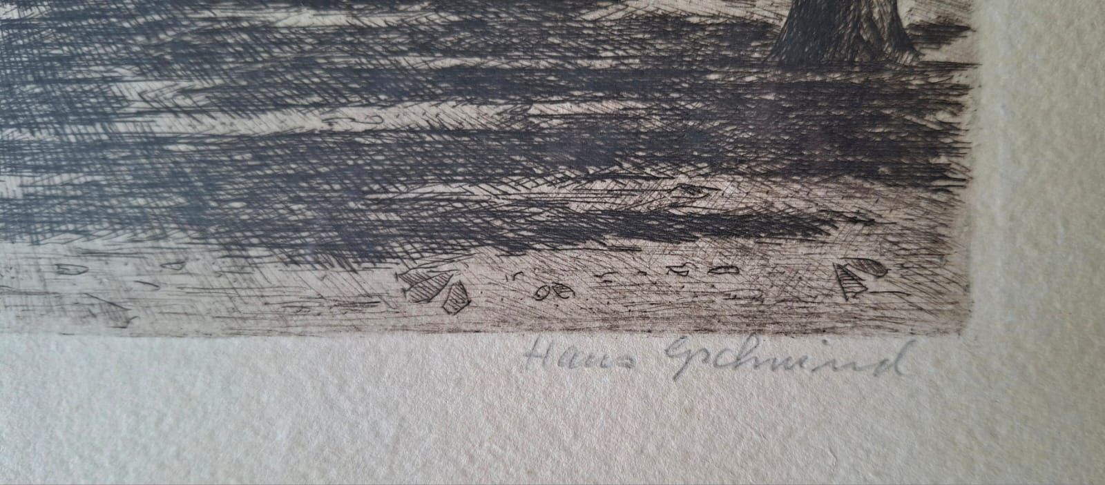 Dipinti: Hans Gschwind , Radierung 1907-1992 Schweiz – Usato da Liestal venduto da Abimos 2