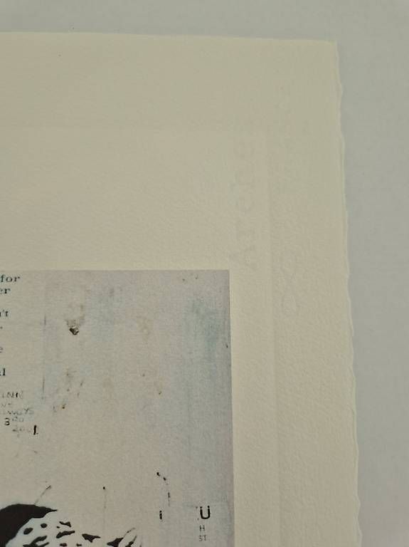Foto & Immagini: Banksy "Barcode" (limitiert 25/150) – Usato da Staufen venduto da saerdna81 1