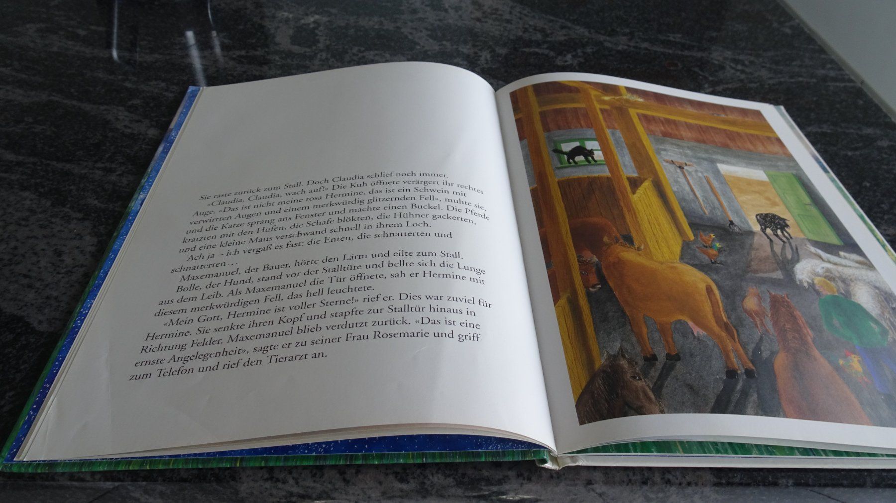 Bücher: HERMINE das Schwein   Bilderbuch – Gebraucht aus Zürich von Roulet 5