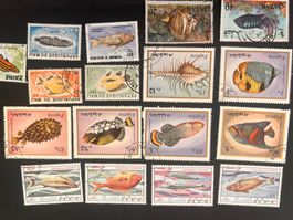 Lot mit Motiv Fische gest.  (2387)