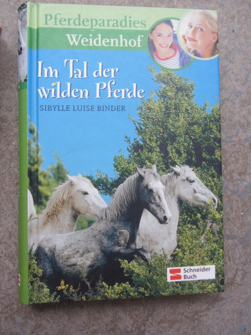 Libri: 4 Pferde Geschichten Bücher – Nuovo (secondo la descrizione) da Malters venduto da Hausi88 8