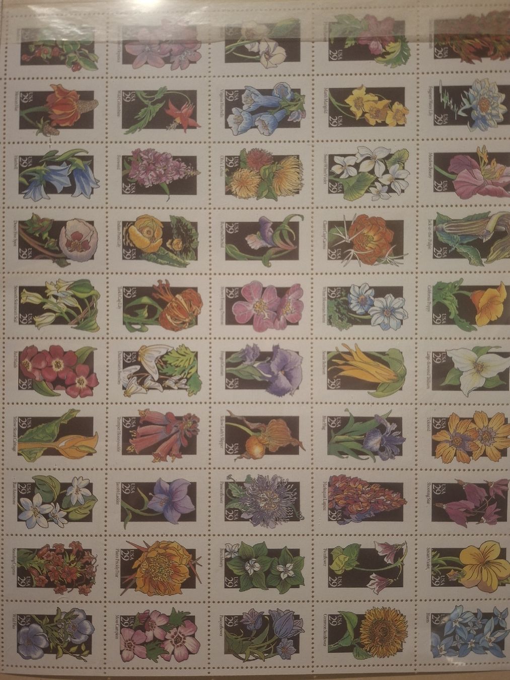 Tutti i francobolli: Sonderblock Motiv Marken Blumen USA  – Usato da Balgach venduto da SIMEON27