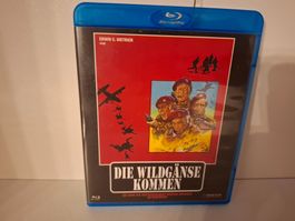 Die Wildgänse kommen