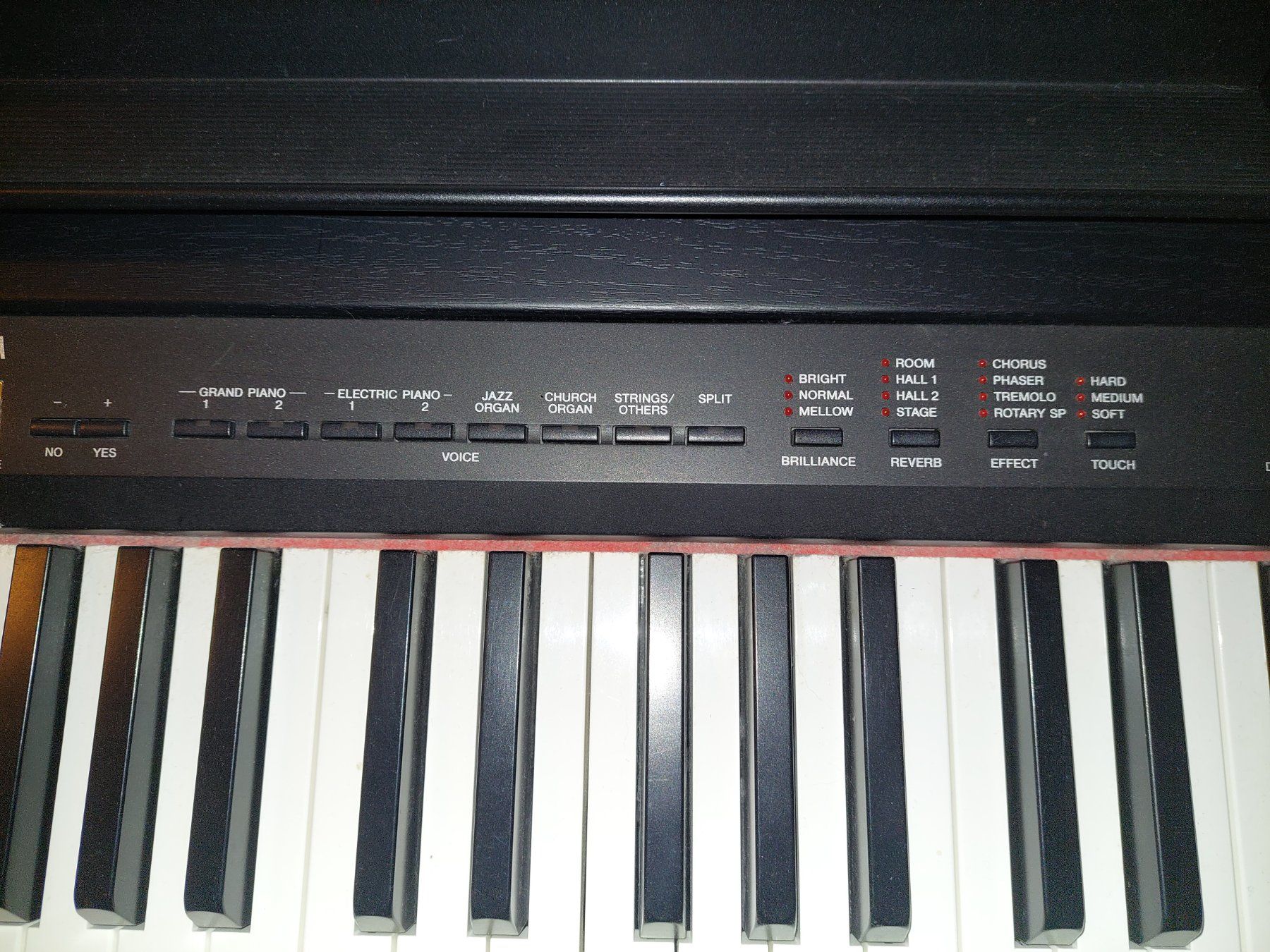 Yamaha Strumenti musicali: E-Piano Yamaha P-155 – Nuovo (secondo la descrizione) da Bremgarten b. Bern venduto da 3meli3 3