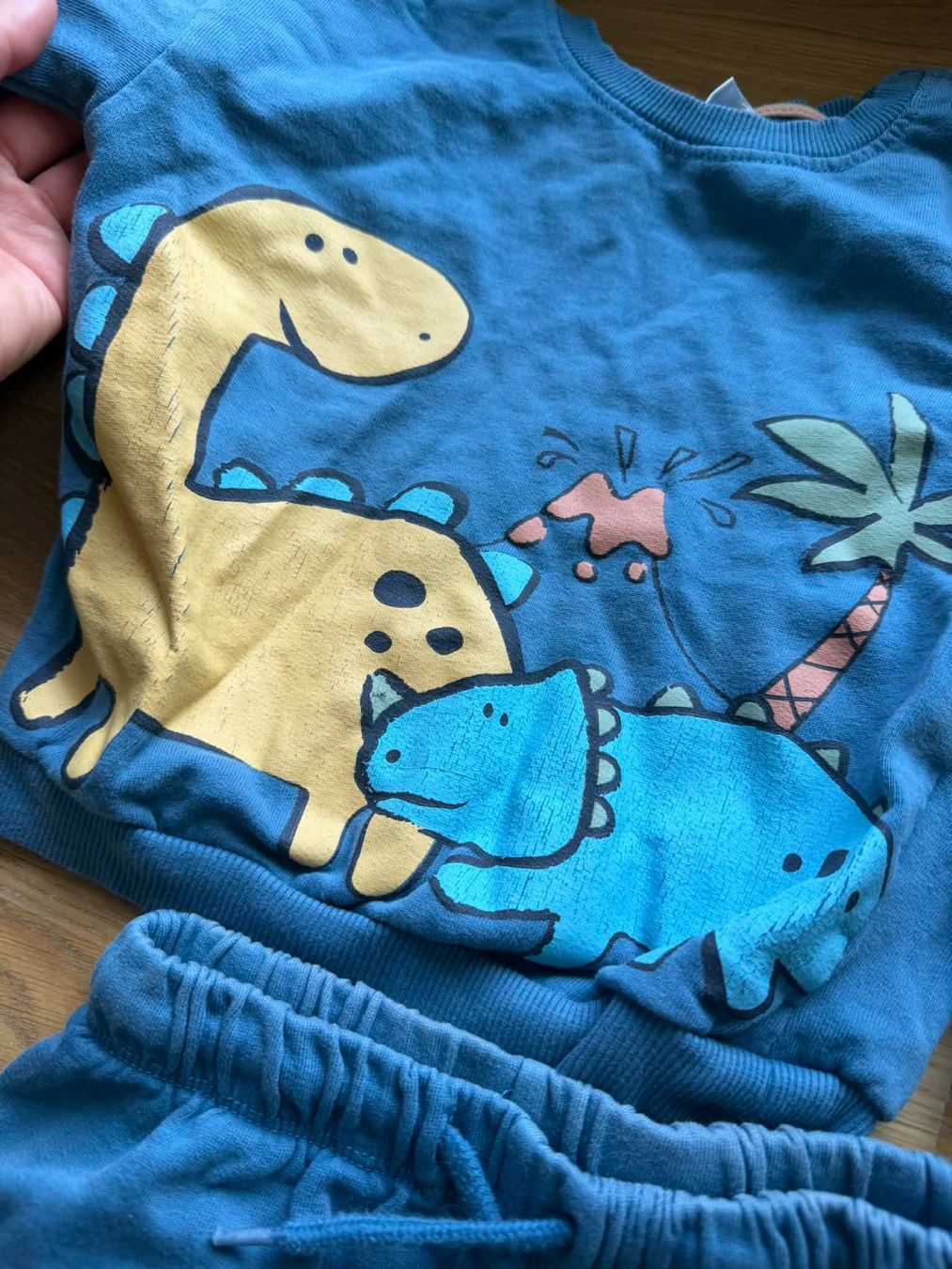 Pantaloni: Süsser Dino-Pulli & Hose, Gr. 92 – Usato da Riehen venduto da ann_76jw 4