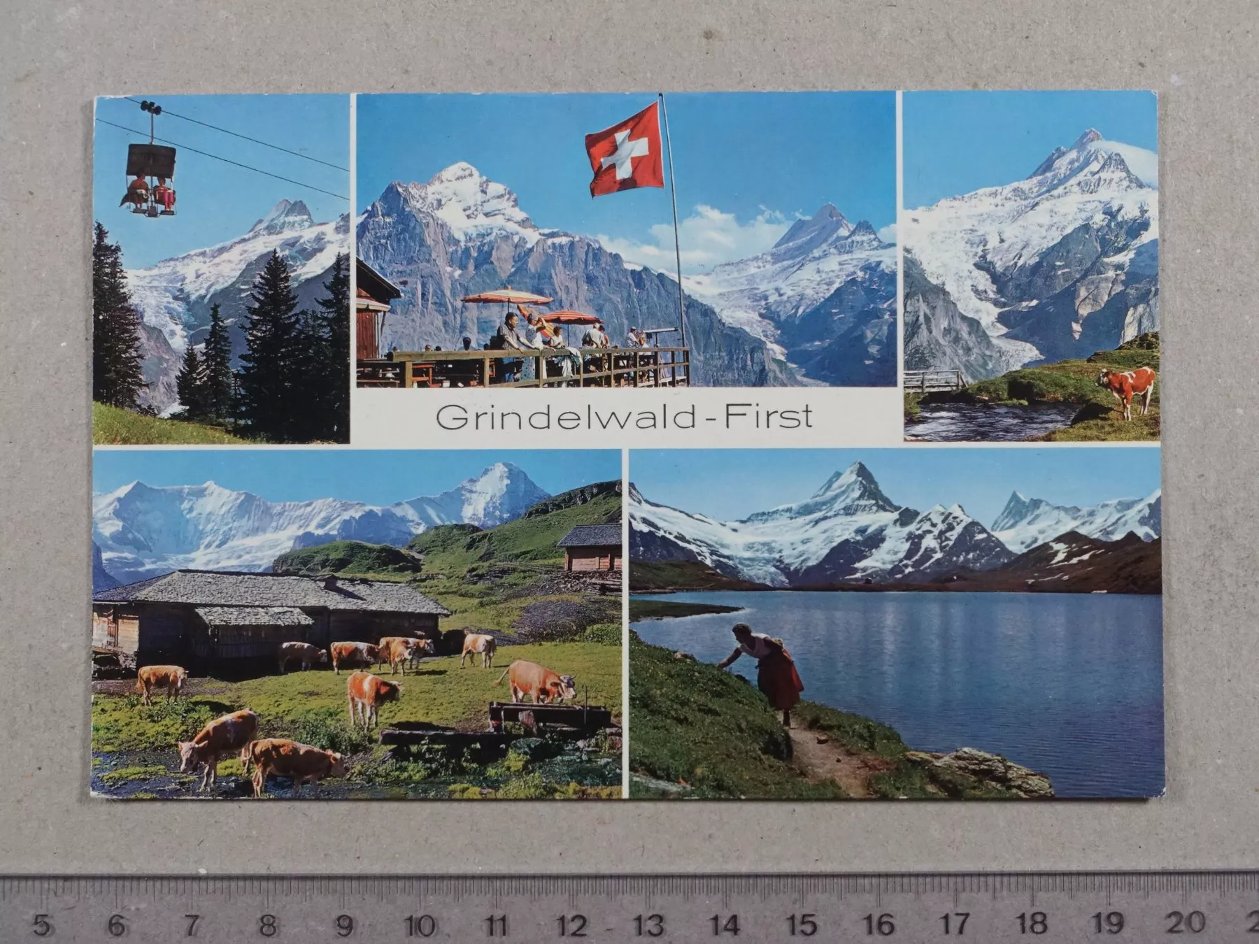 Cartoline postali: Grindelwald First – Usato da Lenzburg venduto da fh1
