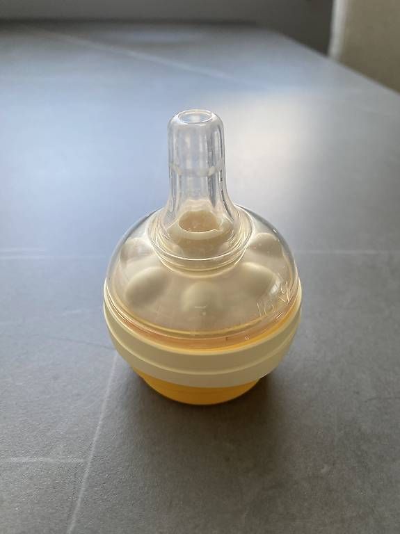 Pasti del neonato: Neugeborenenflasche plus Sauger – Usato da Pratteln venduto da davidjg78 1