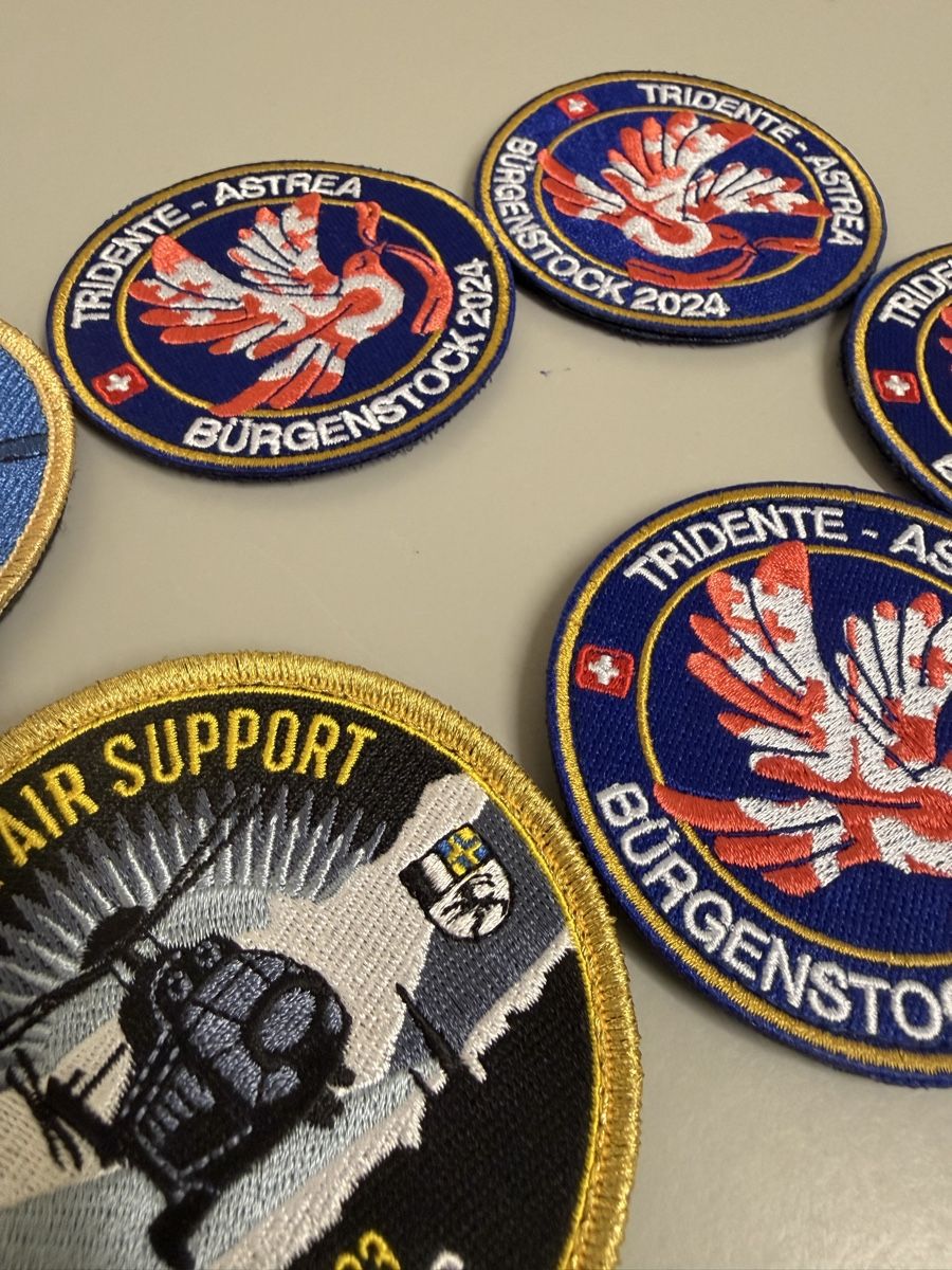 Armée suisse Plaquettes & Badges: Militär Badje sammerstücke  – Neuf (Voir description) à Zürich par papaplatte 3