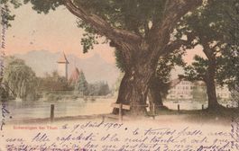 Scherzligen - Karte gelaufen 1901