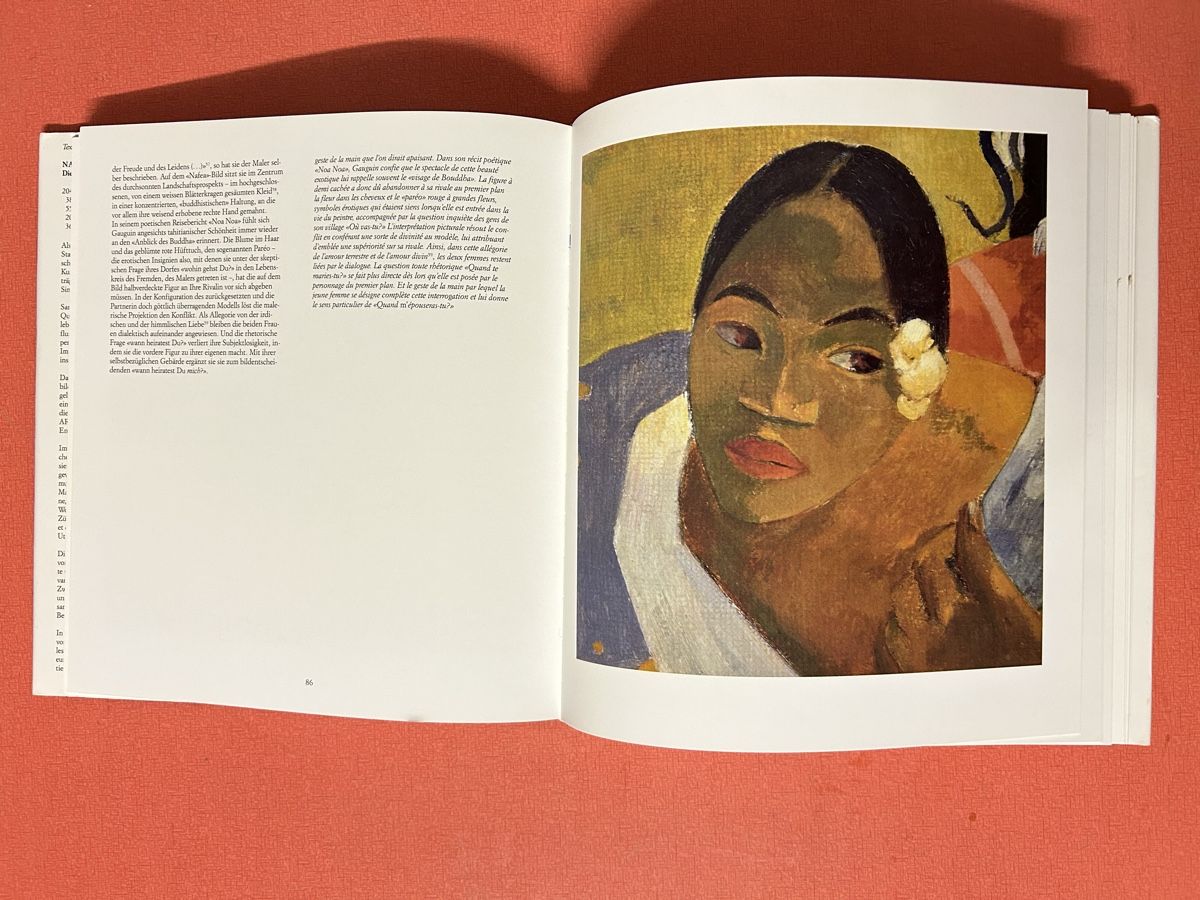 Libri: Rudolf Staechelin - Die Sammlung - Kunstbuch – Usato da Lanzenhäusern venduto da vic63 6