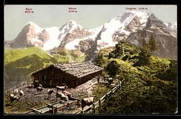 AK Berner Alpen, Kuhstall mit Eiger, Mönch und Jungfrau