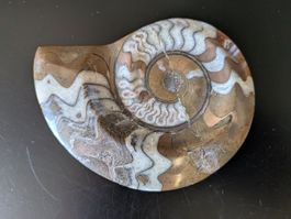Fossil