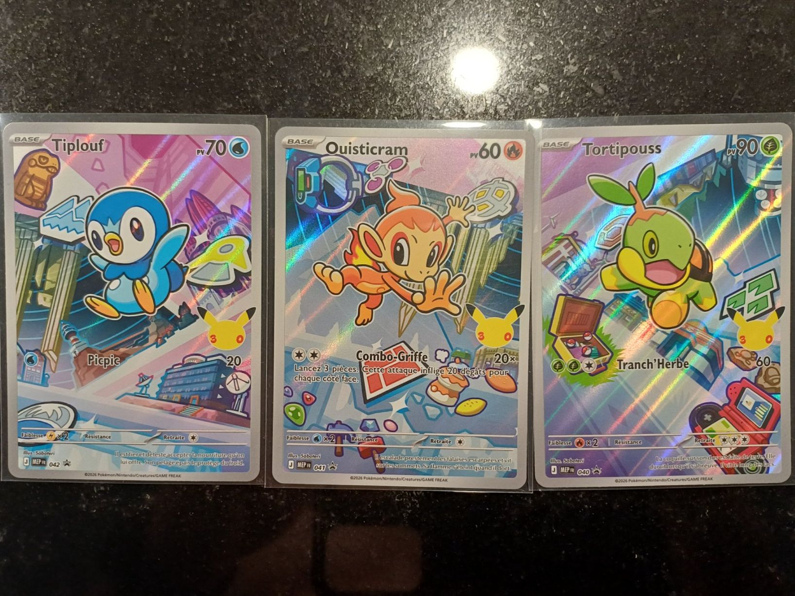 Pokémon Carte collezionabili: Tortipouss - Ouisticram - Tiplouf - Alternative - Fr – Nuovo (secondo la descrizione) da Bernex venduto da Adrieneagle