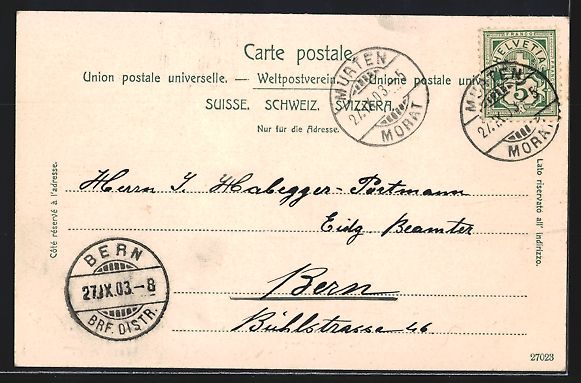 Cartoline postali: Murten /Morat, Ortsansicht mit Dampferan – Usato da Berlin venduto da bartko-reher 1