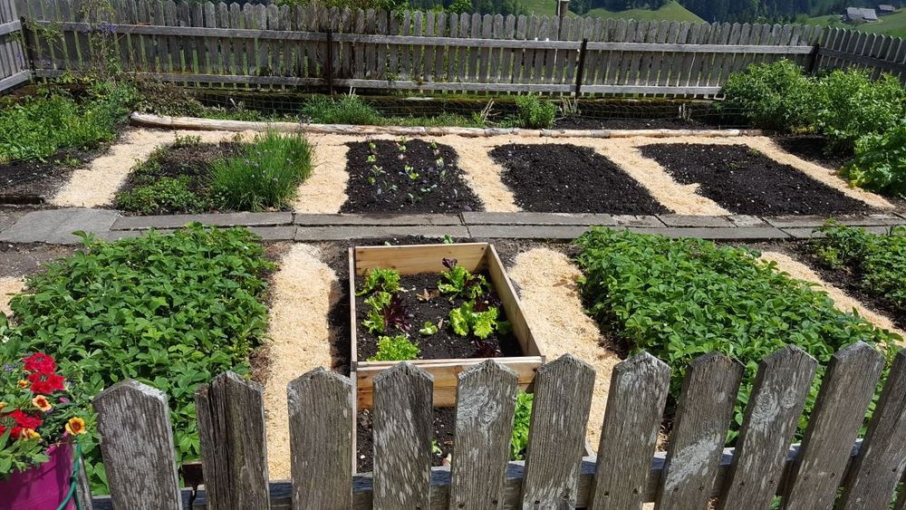 Garten Hochbeet Palettenrahmen Faltrahmen Sauber Kaufen auf Ricardo