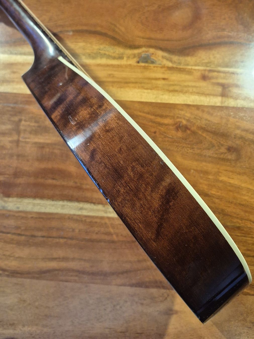 Strumenti musicali: Mandoline Levin 54 Taranto 1963 – Usato da Winterthur venduto da NorrSydGuitars 6