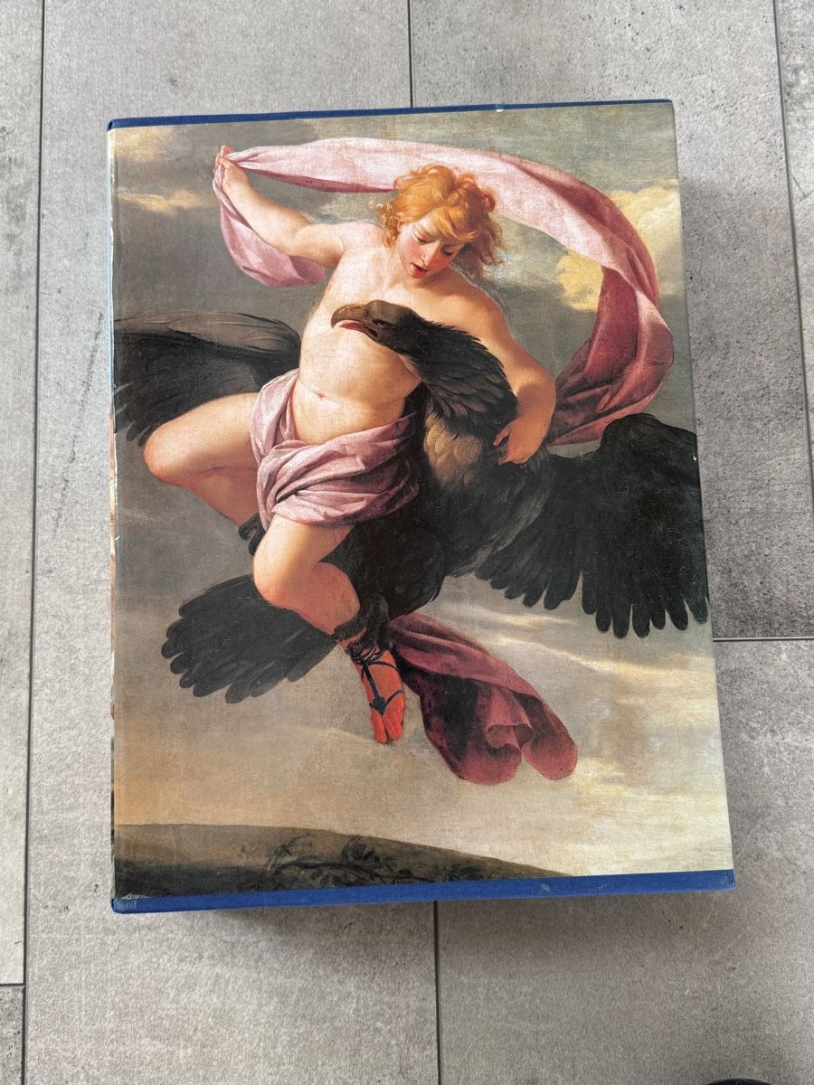 Libri: Les Métamorphoses Diane de Selliers – Usato da Mollens VS venduto da mar_6sgs 4