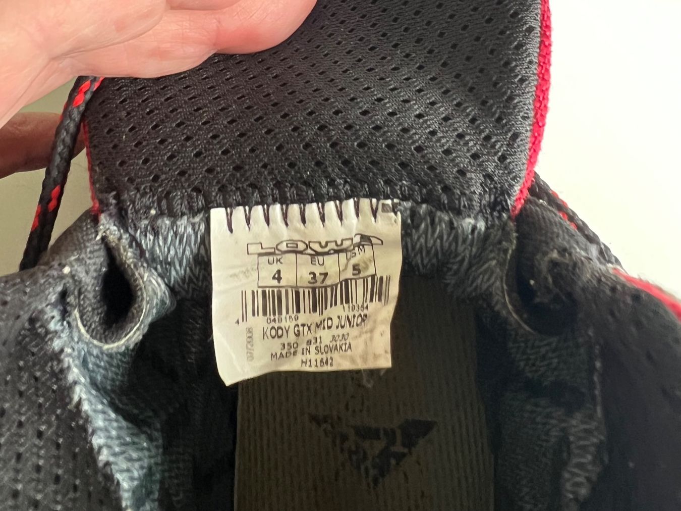 Lowa Herrenschuhe: Wanderschuhe Lowa Gortex – Gebraucht aus Luzern von ansalato 1