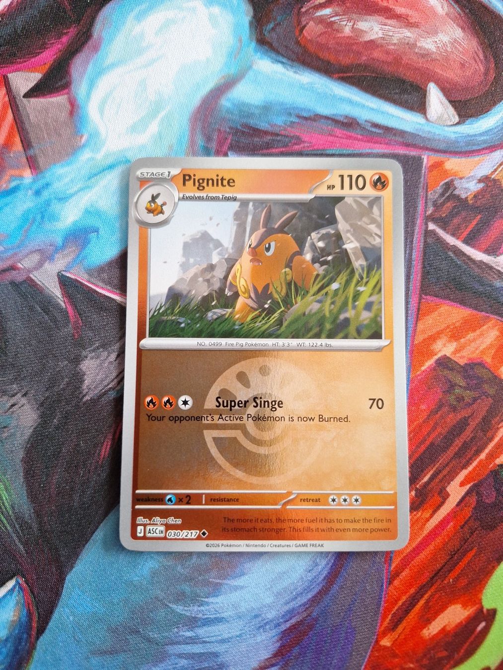 Pokémon Carte collezionabili: Pignite - Reverse Holo Ball - Pokemon Ascended Heroes – Usato da Altstätten SG venduto da GGsGameshop