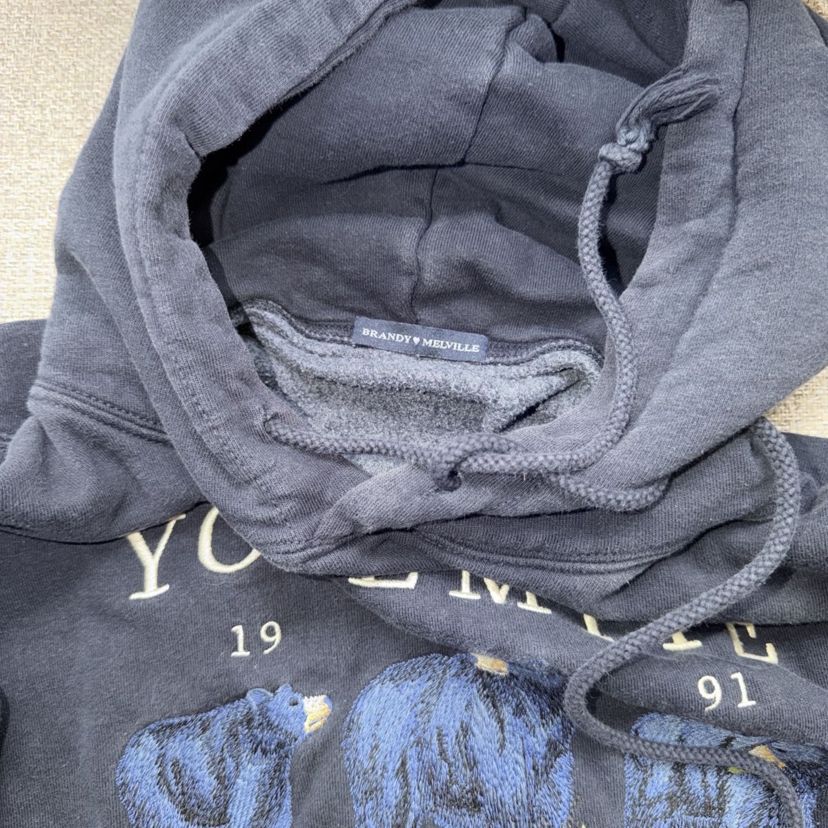 Brandy Melville Maglioni & Felpe: Oversize Hoodie – Usato da Kriens venduto da fiona.law98 2